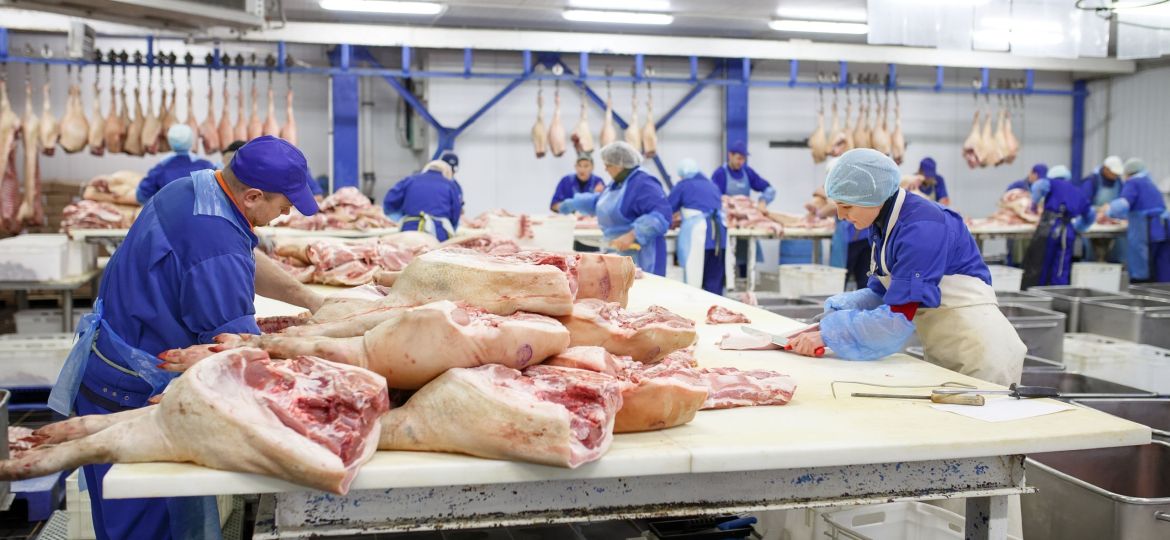 Cutting meat in slaughterhouse .