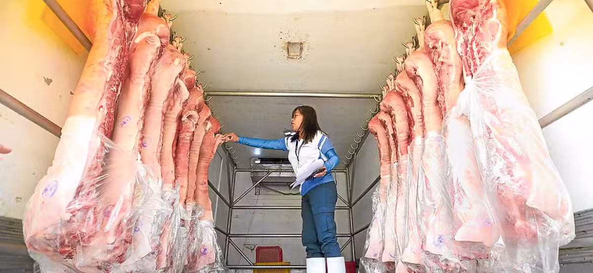 meat-inspection-office-Pork-swine-flu-27August2024.jpg