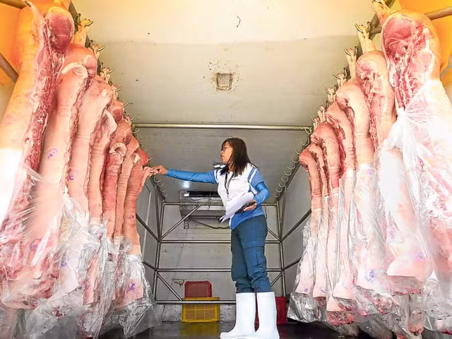 meat-inspection-office-Pork-swine-flu-27August2024.jpg
