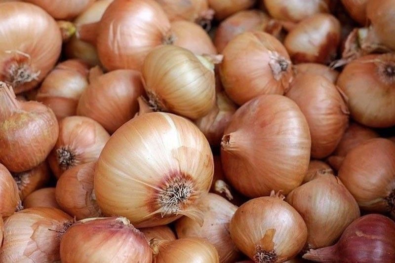 onions_2024-08-28_23-00-37