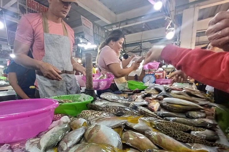 7_2025-02-21_22-56-47