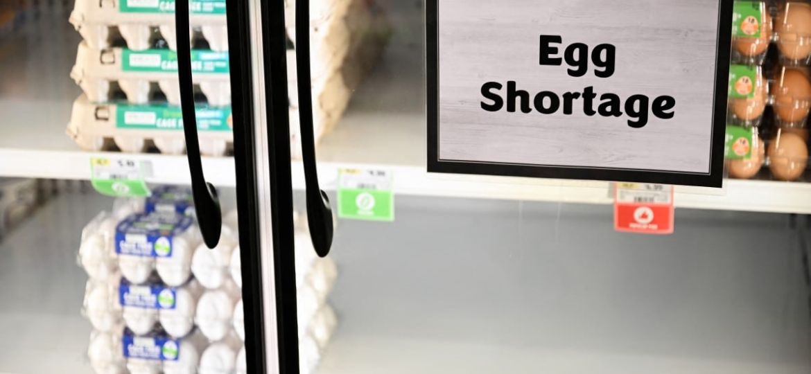 US-ECONOMY-FOOD-RETAIL-EGGS