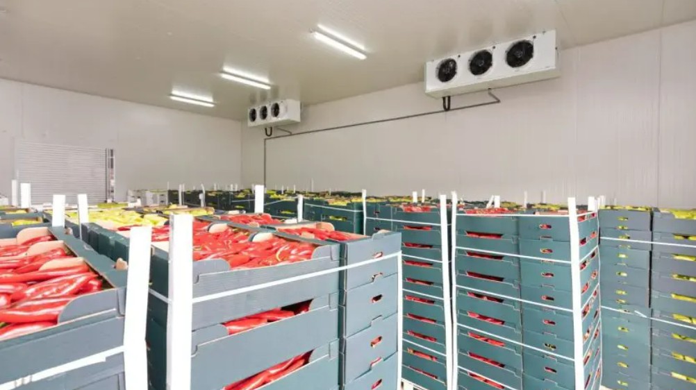 Screenshot 2025-02-23 225412