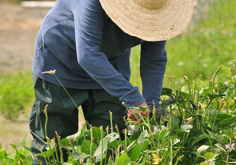 a98_2025-01-06_18-18-13