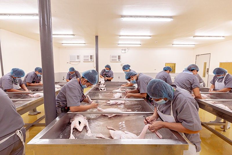 edl-farm-2022_2025-01-09_13-34-36