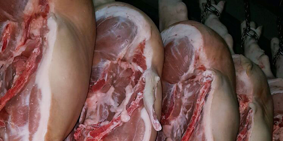 Screenshot 2025-04-19 205148