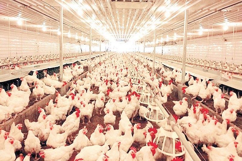 a_2025-06-16_20-41-01