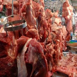 meat_2025-05-14_19-57-55